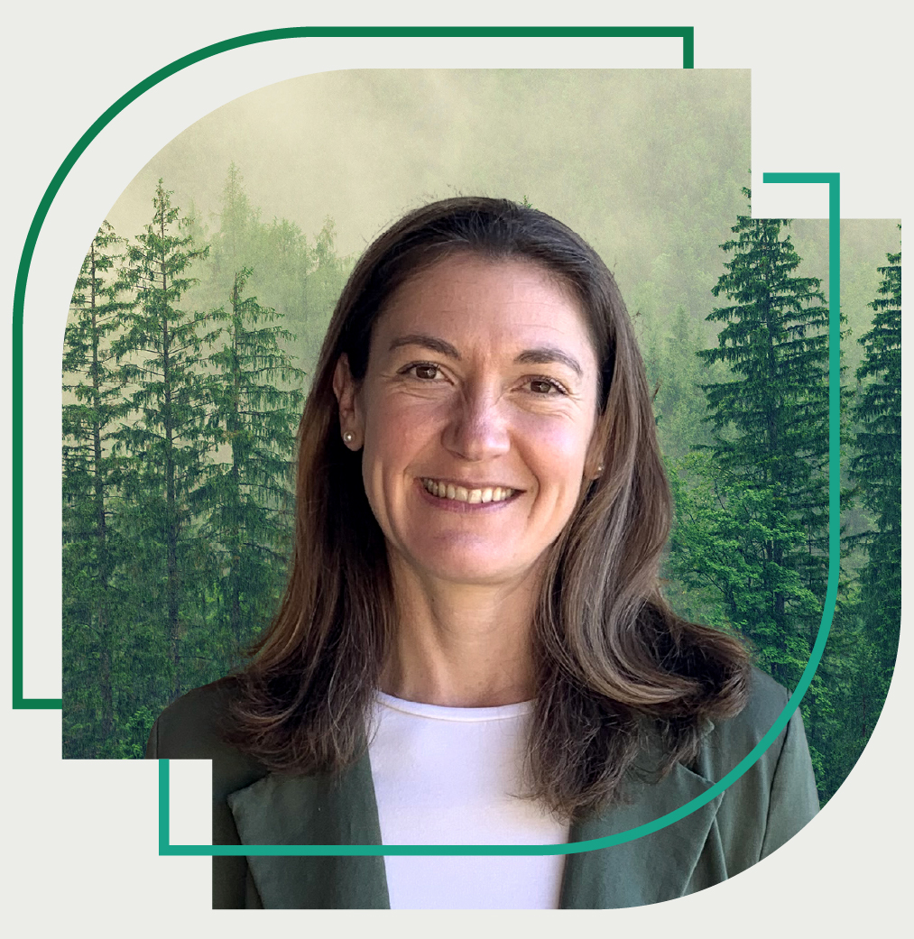 Shauna Matkovich, The ForestLink